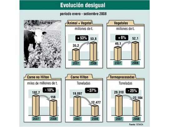 Creció exportación de granos, pero cayeron las ventas de carne