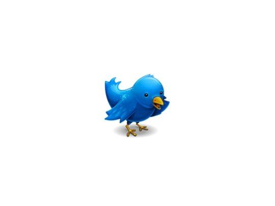 Twitter tiene cientos de millones de usuarios.