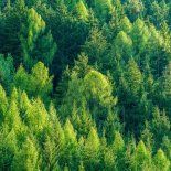 La resolución contempla que los beneficiarios deberán suscribir previamente un convenio con el Ministerio de Ambiente antes de recibir el desembolso de los fondos. La resolución contempla que los beneficiarios deberán suscribir previamente un convenio con el Ministerio de Ambiente antes de recibir el desembolso de los fondos.