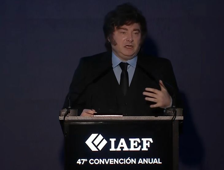 Javier Milei IAEF