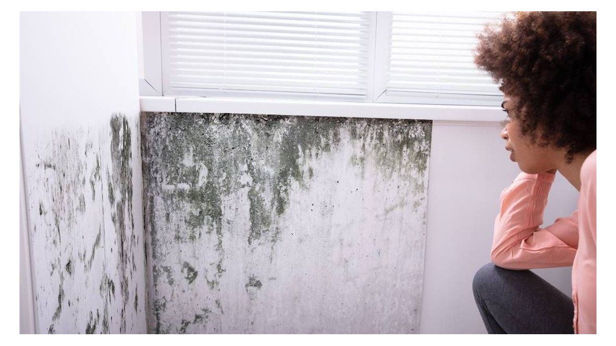 The viral trick to eliminate moisture from your walls
