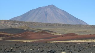 Volcanes, animales y vegetación en un mismo lugar