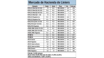 Suba del 0,34% para los novillos