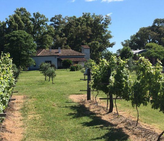 Finca Don Atilio. 