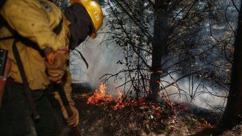 El Senado dio media sanción a proyecto para declarar la emergencia por los incendios en el sur 