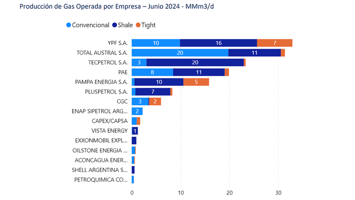 Producci&oacute;n de gas por operadora y seg&uacute;n tipo. Junio de 2024.