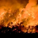 La ola de calor en Chubut complica la situación de los incendios. La ola de calor en Chubut complica la situación de los incendios.