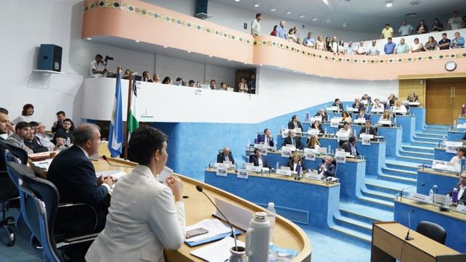 El proyecto oficial fue votado por unanimidad en la Legislatura de Río Negro.&nbsp;