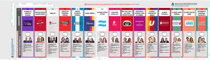 Así será la BUP de la provincia de Buenos Aires, donde solo se elegirán diputados.
