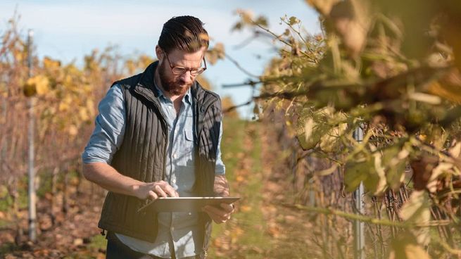 Hay poco acceso a internet en las zonas rurales.&nbsp;
