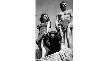 El chimpancé falleció a los 80 años a causa de una falla renal en un refugio de Florida
