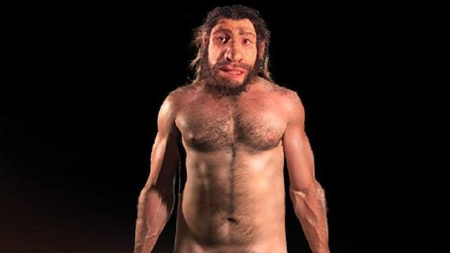 La desaparición del Neandertal.&nbsp;
