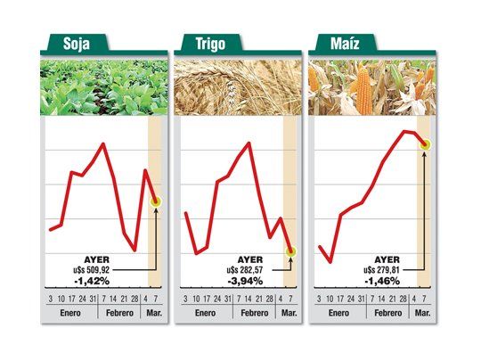 También cayeron los granos: el trigo retrocedió el 4%