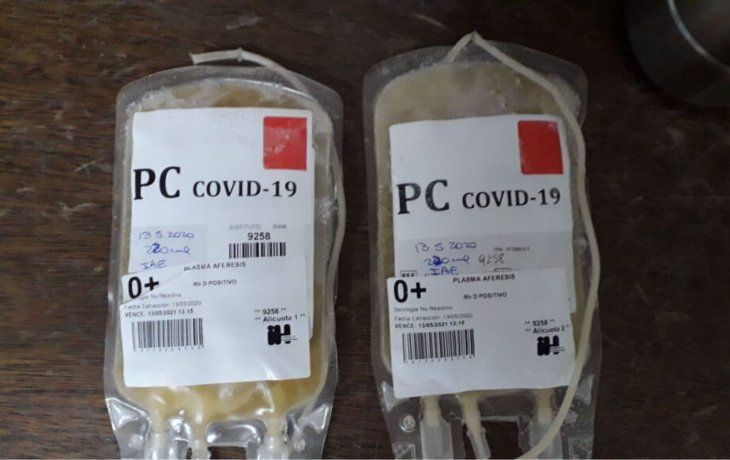 Coronavirus: aplicaron plasma a tres pacientes Coronavirus: aplicaron plasma a tres pacientes