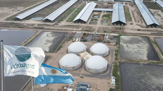 Adecoagro es uno de los principales productores de alimentos y energías renovables de Sudamérica.