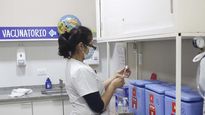 Distintas provincias avanzan con la compra de vacunas contra el dengue.