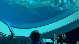 Miami ofrece cada vez más atracciones.