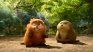 Disney and Pixars present their new movie.