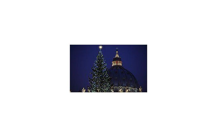 El árbol  fue donado por las autoridades de una pequeña ciudad italiana.