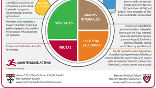 expertos de harvard descubren el alimento que no puede faltar en la dieta diaria