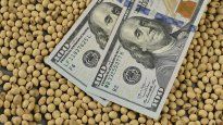 El mercado anticipa una baja del precio de la soja.
