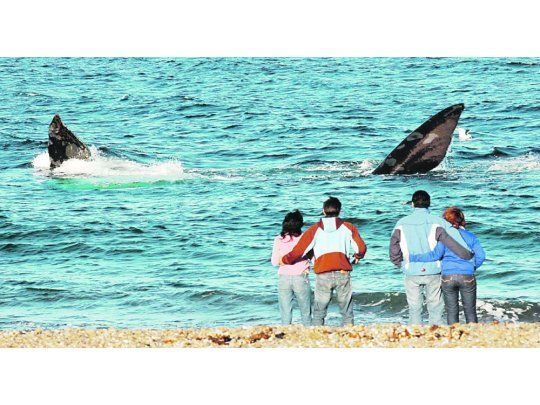 Capital nacional del buceo