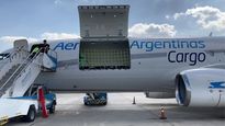 ámbito.com | AEROLINEAS-CARGO.jpg