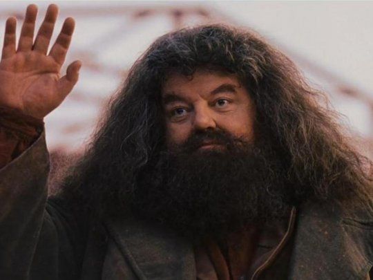 hagrid.jpeg
