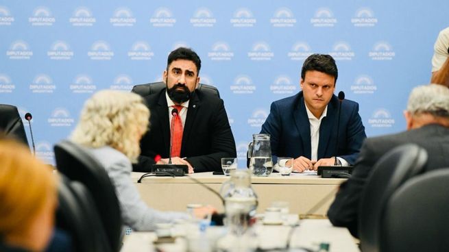 Alejandro Bongiovanni durante un debate de comisiones. Ahora integrará el bloque libertario.