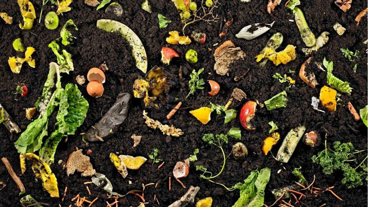Cómo hacer tu propio compost