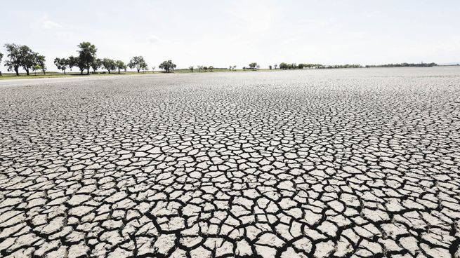 DESOLACIÓN. Una vista general muestra el lago Zicksee casi seco, cerca de Sankt Andrae, en Austria. Los expertos pronostican  otra ola de calor en partes del país.