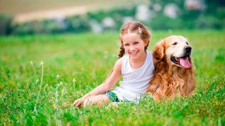 La tributación como herramienta para impulsar mejoras ambientales La tributación como herramienta para impulsar mejoras ambientales