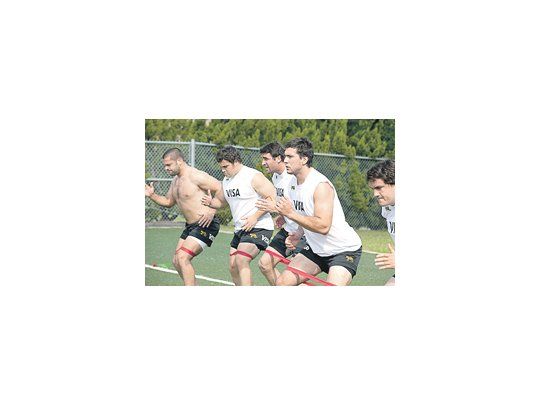 Los Pumas.