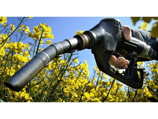Presupuesto: legisladores en alerta por posible suba de gravamen a biocombustibles