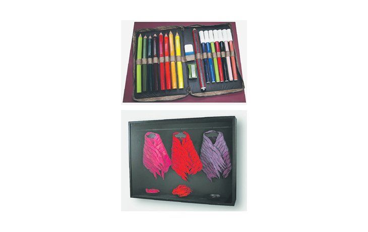 «Colores III», de Silvia Carbone recibió el Gran Premio Adquisición en Cerámica. Una obra de gran dimensión que apela a la nostalgia por la primera cartuchera.En Arte Textil, el Gran Premio Adquisición fue para Claudia Mazzola, experta en la recuperación de técnicas textiles y colorantes utilizados en la América prehispánica.