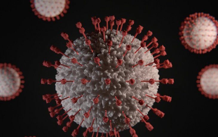 Alerta: China detecta contagios de un nuevo virus proveniente del murciélago