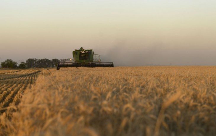 ámbito.com | Estiman que la región pampeana producirá un millón de toneladas menos de trigo