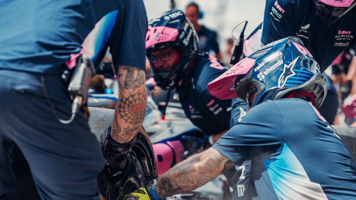 Alpine will investigate the errors in the stops in the boxes of Franco Colapinto