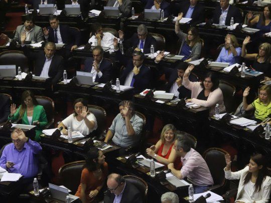 Diputados Ley Pago Deuda 29ENE ignacio petunchi 22.jpg