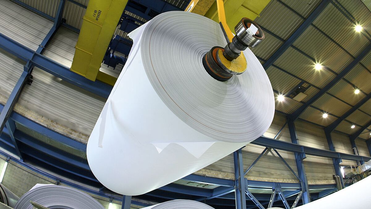 Iberpapel will sell its forest assets in the country for US$55 million