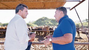 gira. En General Conesa, Massa se reunió con productores agrícolas y ganaderos. El tigrense ya recorrió la costa atlántica y encabezó el relanzamiento de Alternativa Federal en Mar del Plata.