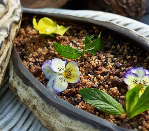 Se destaca su mousse de chocolate y lúcuma con una textura suave y armoniosa. Se destaca su mousse de chocolate y lúcuma con una textura suave y armoniosa.
