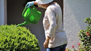 El buen riego de plantas es fundamental en el invierno.