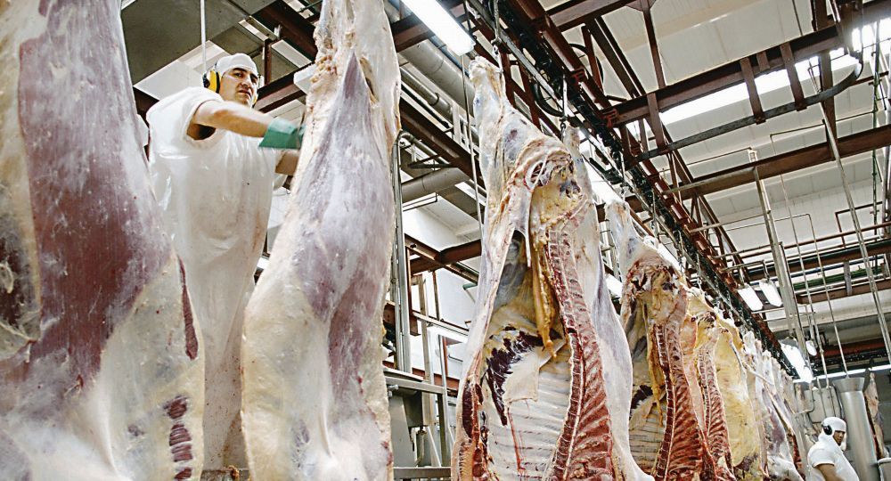 La sequía afectó fuertemente el precio de la res. La sequía afectó fuertemente el precio de la res.