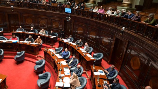 El Senado aprobó el proyecto de salvataje para la Caja de Profesionales.