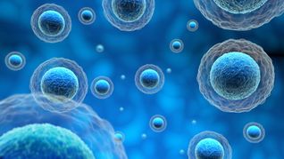 ámbito.com | instituto-ordonez-oviedo-asturias-medicina-regenerativa-los-6-beneficios-clave.jpg