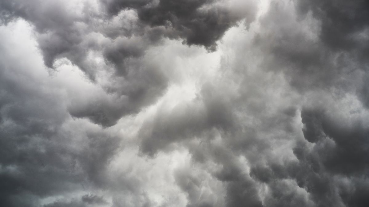 Investments: what will come after the turbulence