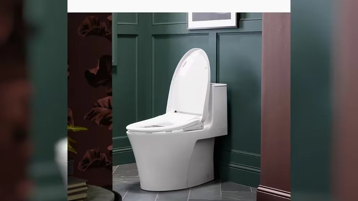 Buenos Aires deputy seeks to declare the toilet as “a place for peace”