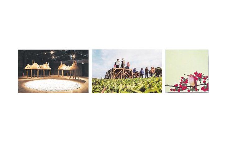 ámbito.com | De izquierda a derecha, “Barro memorioso”, de Andrés Paredes, el mirador “Un lugar para mirar”, de Laura Glusman y la serie de los pájaros de Alejandra Tavolini, algunos de los artistas que participaron en la agitada 11ª Semana del Arte de Rosario.
