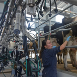 Las gremiales cuestionaron las frecuentes asambleas del sindicato en la planta 14 de Rivera. Las gremiales cuestionaron las frecuentes asambleas del sindicato en la planta 14 de Rivera.